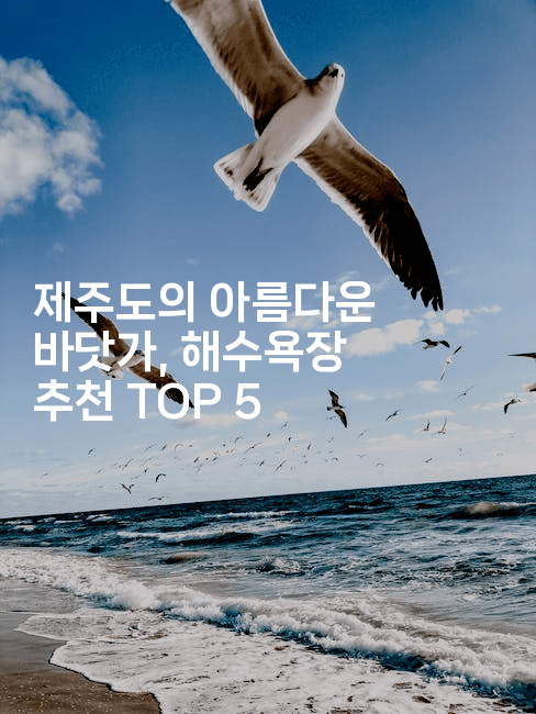 제주도의 아름다운 바닷가, 해수욕장 추천 TOP 5
-제주띵킹