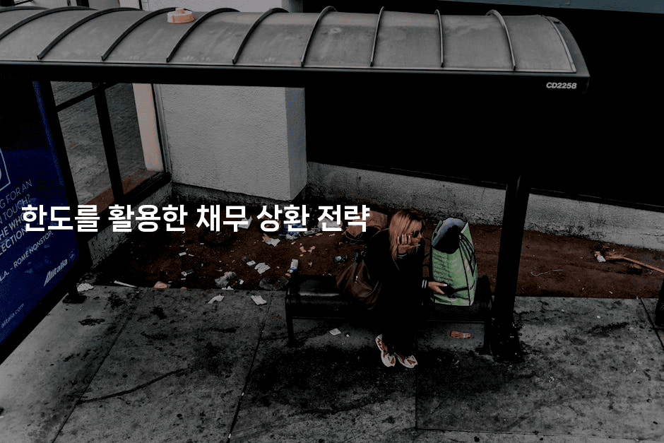 한도를 활용한 채무 상환 전략