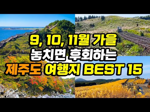 9월 10월 11월 가을 제주도여행 1박2일 2박3일 코스 BEST 15 | 국내 꼭 가봐야 하는 제주 동쪽 서쪽 서귀포 코스