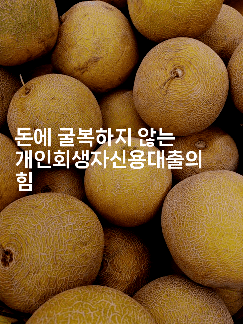 돈에 굴복하지 않는 개인회생자신용대출의 힘-제주띵킹