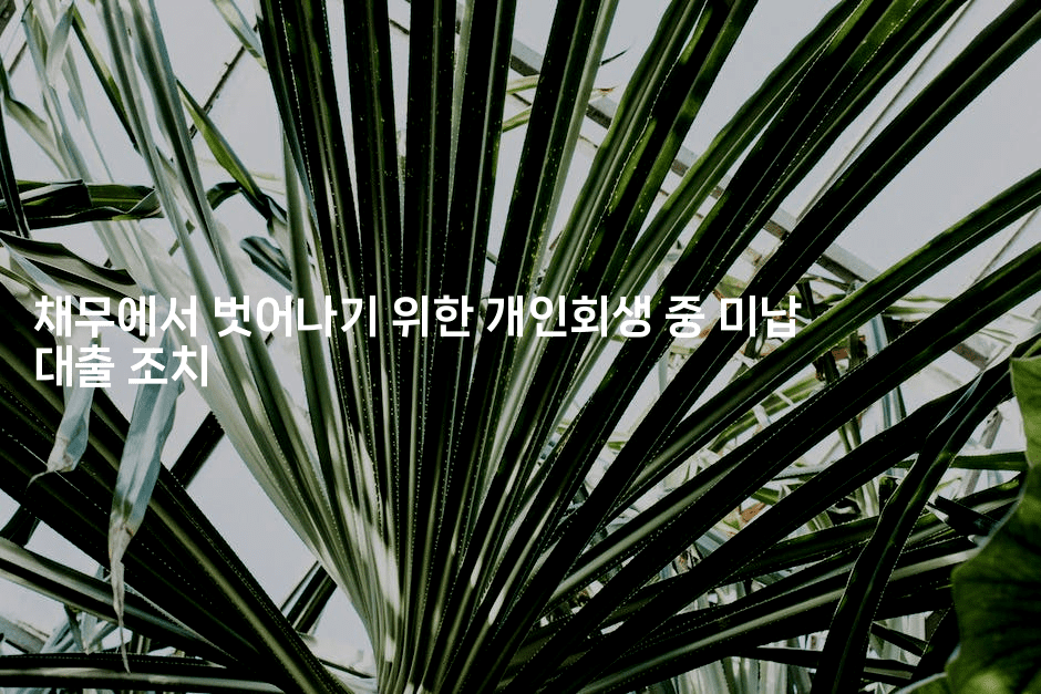 채무에서 벗어나기 위한 개인회생 중 미납 대출 조치-제주띵킹