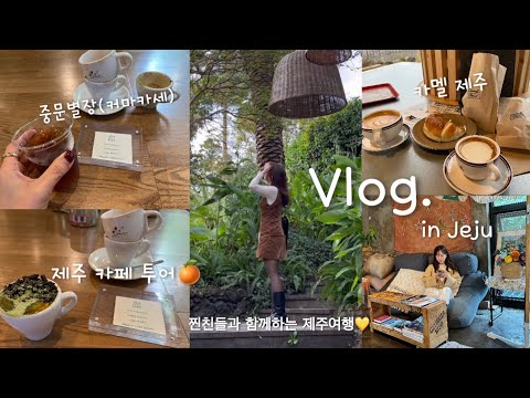 SUB | 제주도 1박 2일 여행 | 제주 카페투어,카페추천 - 카멜커피 중문별장 서귀피안베이커리 | 자유부인의 제주 힐링 여행 | 제주맛집 - 논짓물, 교래흑돼지, 은희네해장국