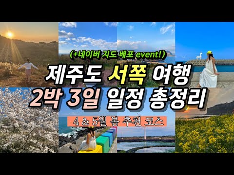 따라만 해도 성공! 제주 2박 3일 서쪽 여행 코스? 제주도 4월 5월 봄 여행 서부 일정 추천 | 공항 근처 가볼만한곳 모음 | 유채꽃 벚꽃? 일몰 명소 오름 포토존 총정리