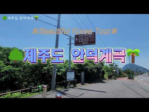 ??제주도 관광명소 ?❤️ 39.제주도 숨은 비경 안덕계곡 [4K]주??