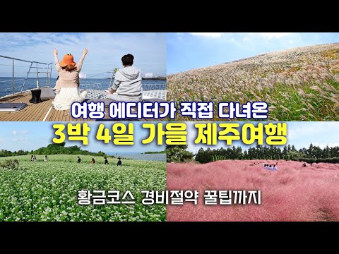 [제주도 가을여행 추천코스] 육지보다 10배 아름다운 가을 제주도 - 여행 에디터가 억새·메밀꽃·핑크뮬리 핫스팟과 가성비 여행 꿀팁까지 모두 알려드립니다