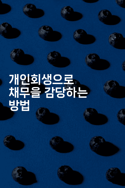 개인회생으로 채무을 감당하는 방법-제주띵킹