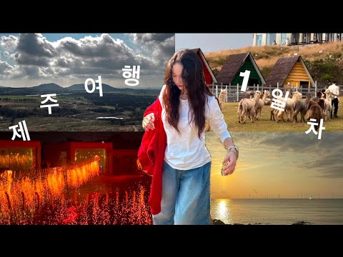 엄마랑 제주도 여행 1일차(애월, 서귀포)