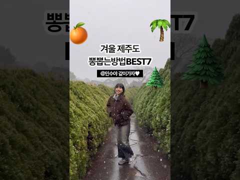 겨울 K-제주도 뽕 뽑는 방법 BEST7!