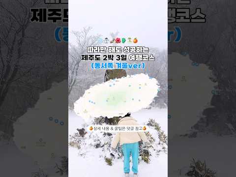 눈 오는 제주❄️ 겨울 제주도 여행 2박 3일 코스 다 알려줌?