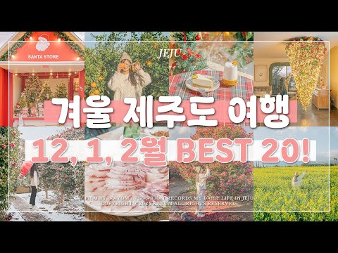 ? 12월, 1월, 2월 겨울 제주도 여행 가볼 만한 곳 Best 20! | 제주 동백꽃 명소, 제주 가족 여행 코스