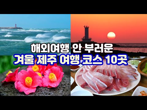 [1, 2월 제주여행 추천코스] 여행 에디터 추천 해외여행 절대 안 부러운 겨울 제주 여행코스 10곳 – 대방어·동백꽃·겨울바다·감귤·오션뷰카페·일몰·관광시장…