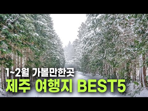 이국적인 제주도 겨울여행지 BEST 5