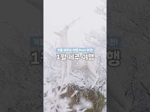 ☃ 1월 제주도 여행 가볼 만한 곳 추천 BEST 모음! #겨울제주도여행