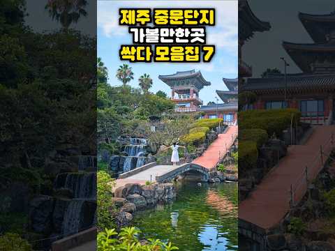 제주여행 가면 무조건 여기 중문관광단지🌴 주변 볼거리 놀거리 싹다 모음 (약천사, 중문색달해변, 주상절리, 국제평화센터 등)