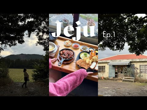 [vlog]못갈뻔한제주도|제주동쪽|구좌가볼만한곳|제주조천|제주세화|소품샵구경과맛집투어가득?