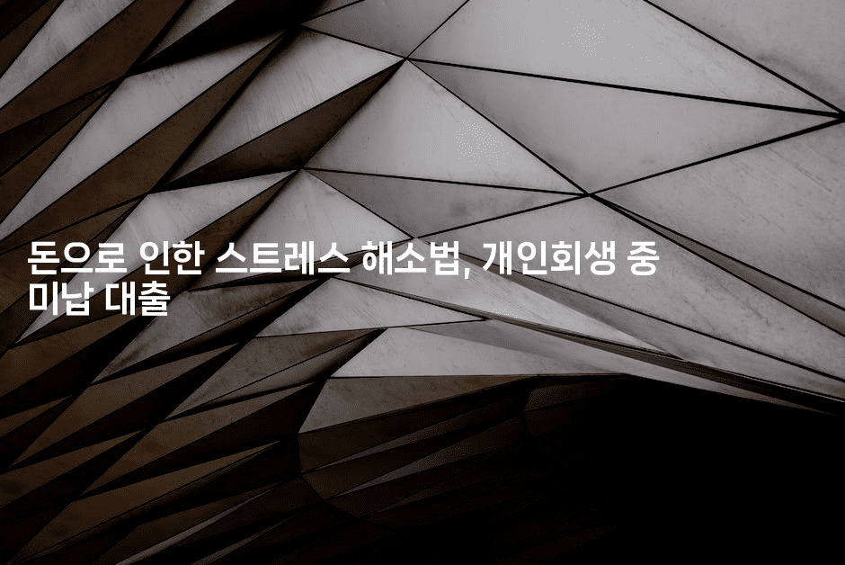 돈으로 인한 스트레스 해소법, 개인회생 중 미납 대출-제주띵킹