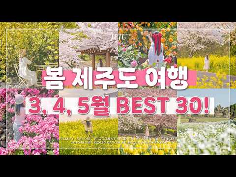 🌸 3월, 4월, 5월 봄 제주도 여행 가볼 만한 곳 Best 30! | 이 영상 하나면 봄 제주 여행 준비는 끝!