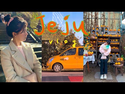 🍊제주 여행 VLOG | 2박 3일 | ☃️겨울 제주 여행 코스 | 제주 가족 여행 코스 추천🥰🧡| 제주 감성 카페 | 제주 동문 시장🥂