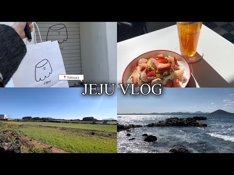 [여행 VLOG] 제주도 혼자 여행🍊 | 제주 남쪽과 동쪽 그리고 우도 | 3박 4일 | 2월의 제주 | 감성 숙소, 맛집, 카페, 독립 서점 | 혼여 만렙이 되고 싶어요