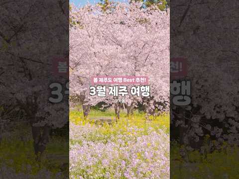 🌸 3월 제주도 여행 가볼 만한 곳 추천 BEST 모음! #봄제주도여행