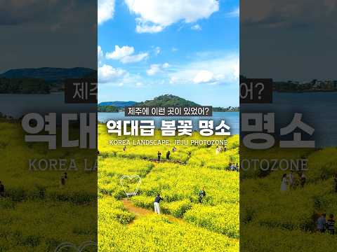 2025년 절대 놓치지 말아야할 제주 여행지 추천!