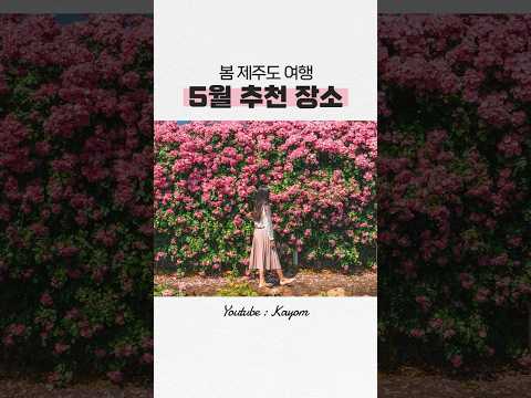 🌹 5월 제주도 여행 가볼 만한 곳 추천! 꼭 가보세요