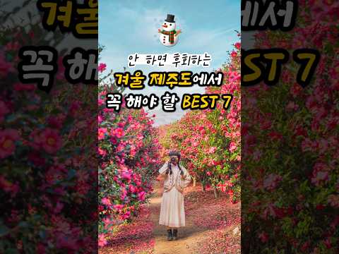 겨울 여행 꼭 가야죠! 겨울 제주도 여행지 가볼만한 곳 싹다모음(제주 동백꽃 명소, 감귤따기 체험, 제주 카페 등)