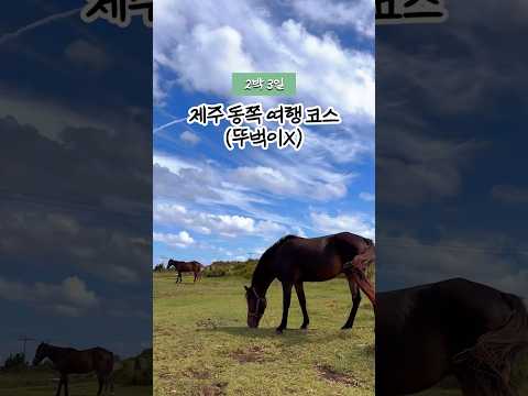 제주 동쪽 여행 코스(2박 3일)#제주도 #제주 #제주도여행 #제주여행 #2박3일 #가을여행
