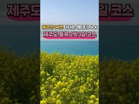 제주도 동쪽 2박 3일 뚜벅이 코스~!💕