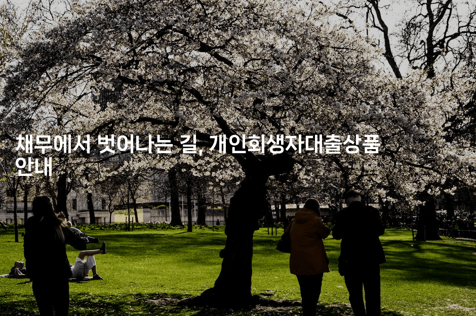 채무에서 벗어나는 길, 개인회생자대출상품 안내