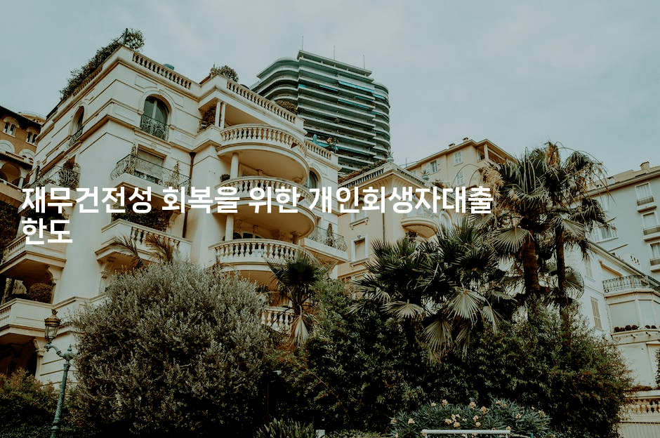 재무건전성 회복을 위한 개인회생자대출 한도