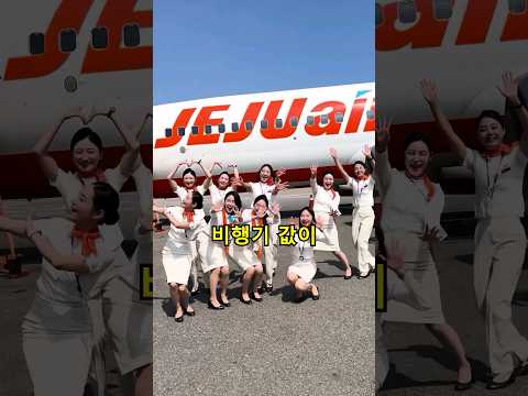 제주도 비행기 기름값이 이정도라고?