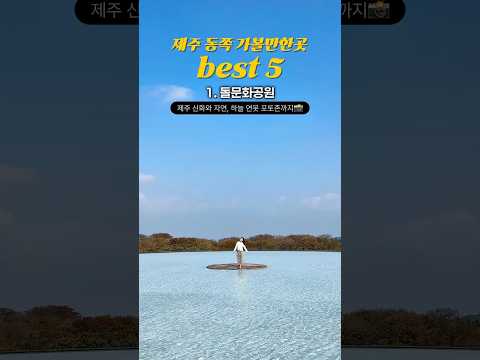 지금 당장 가야할 제주 동쪽 명소 best5🏝️ #제주여행 #제주도 #제주