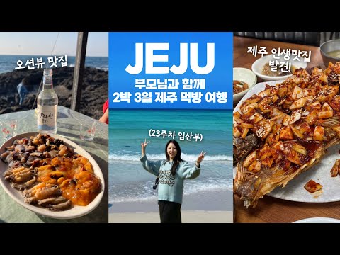 [vlog] 임산부 직장인 브이로그 🎈부모님과 함께 제주여행 동쪽 맛집 투어 (으뜨미, 맛나식당, 남양수산, 오션뷰 맛집) 23주차 임산부 일상
